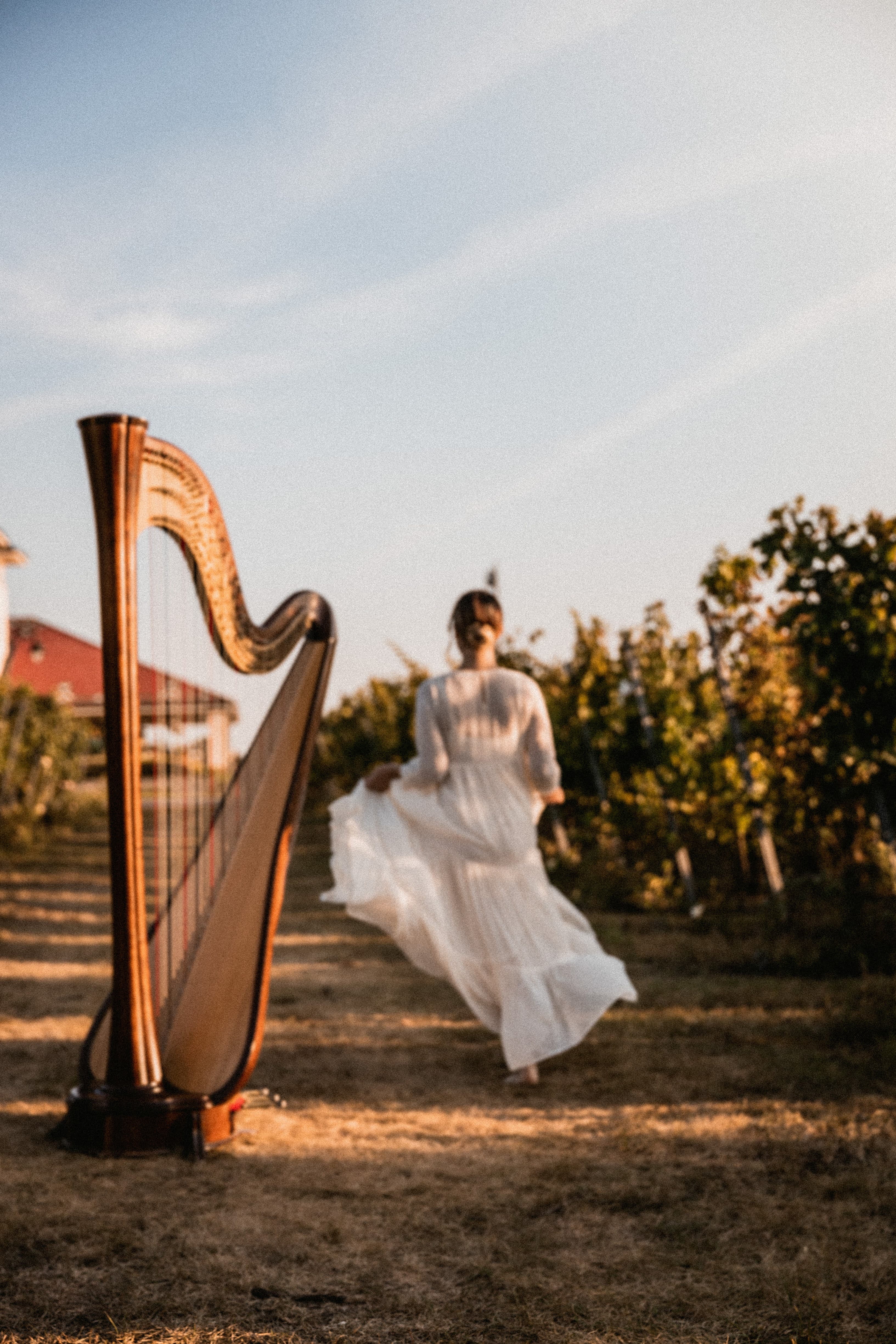 Irina performing harp in an elegant venue