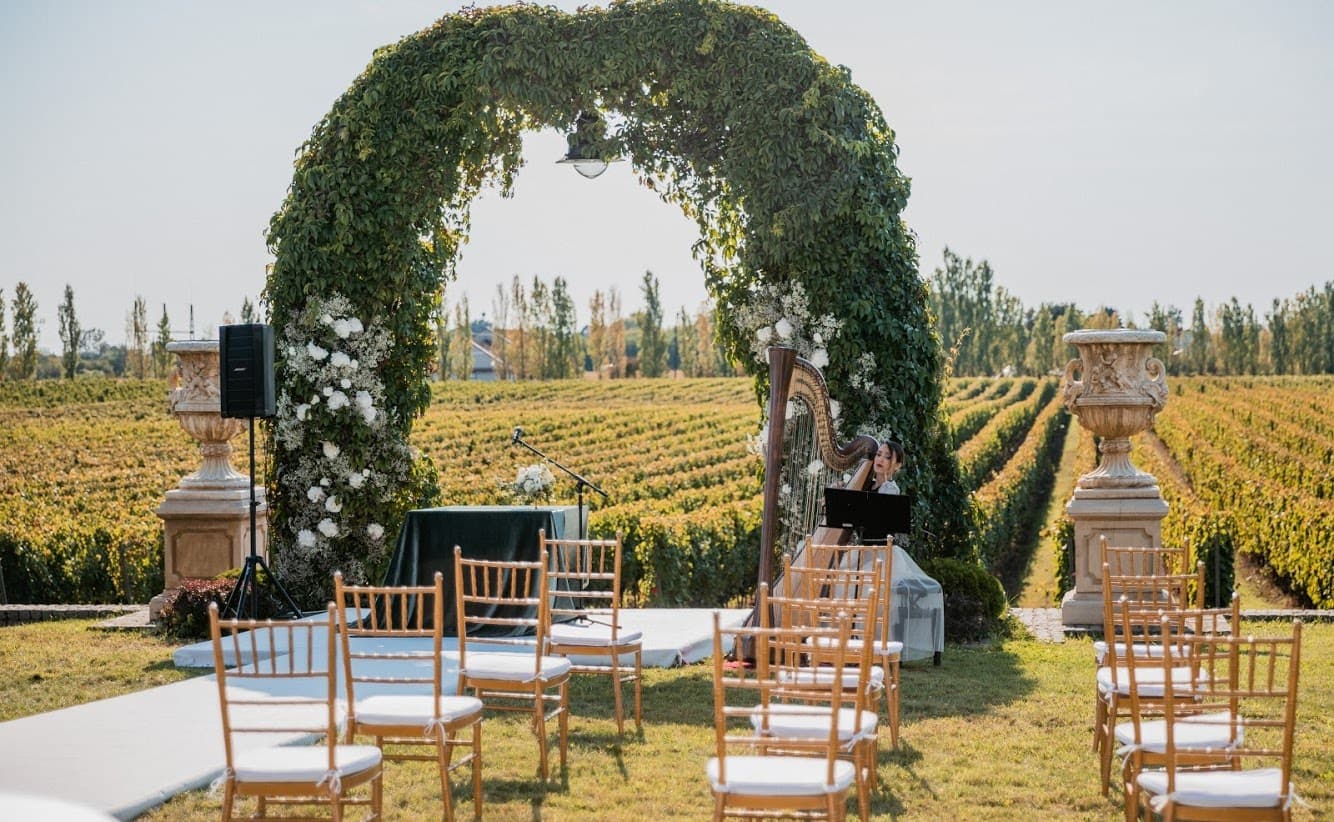 Irina performing at a private event - photo 10