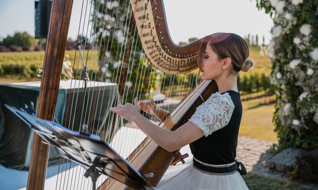 Irina performing at a private event - photo 11