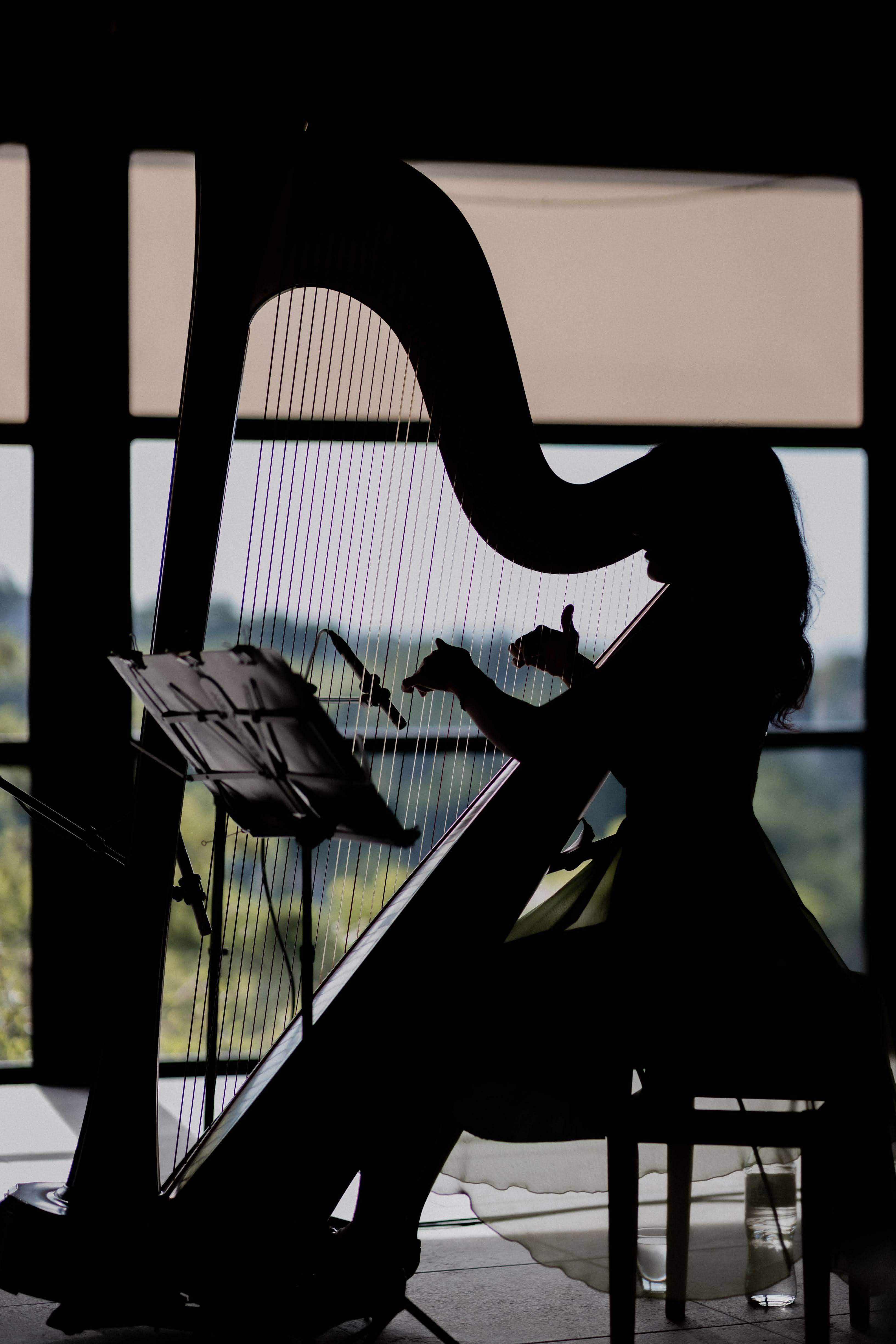 Irina performing at a private event - photo 6