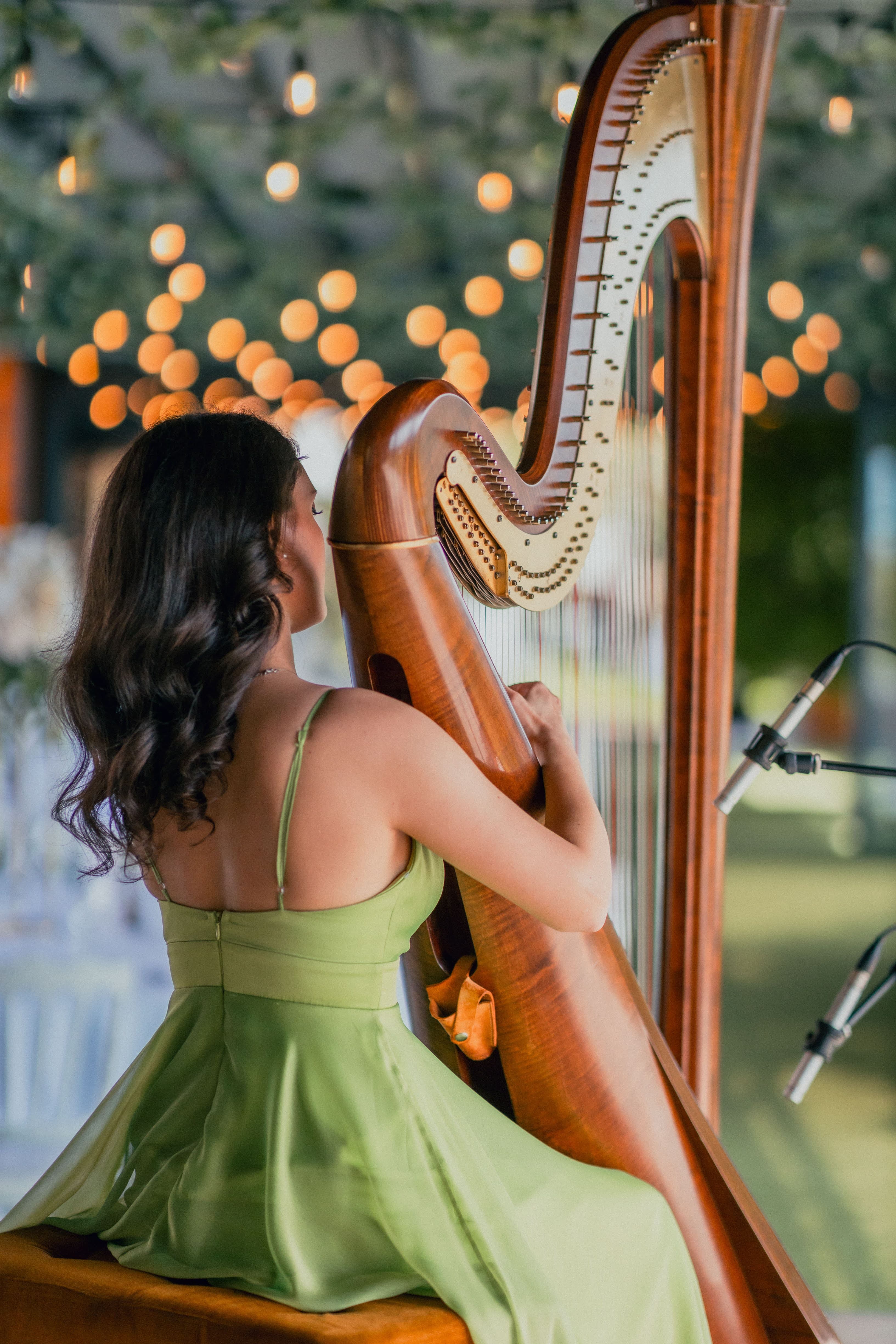 Irina performing at a private event - photo 7