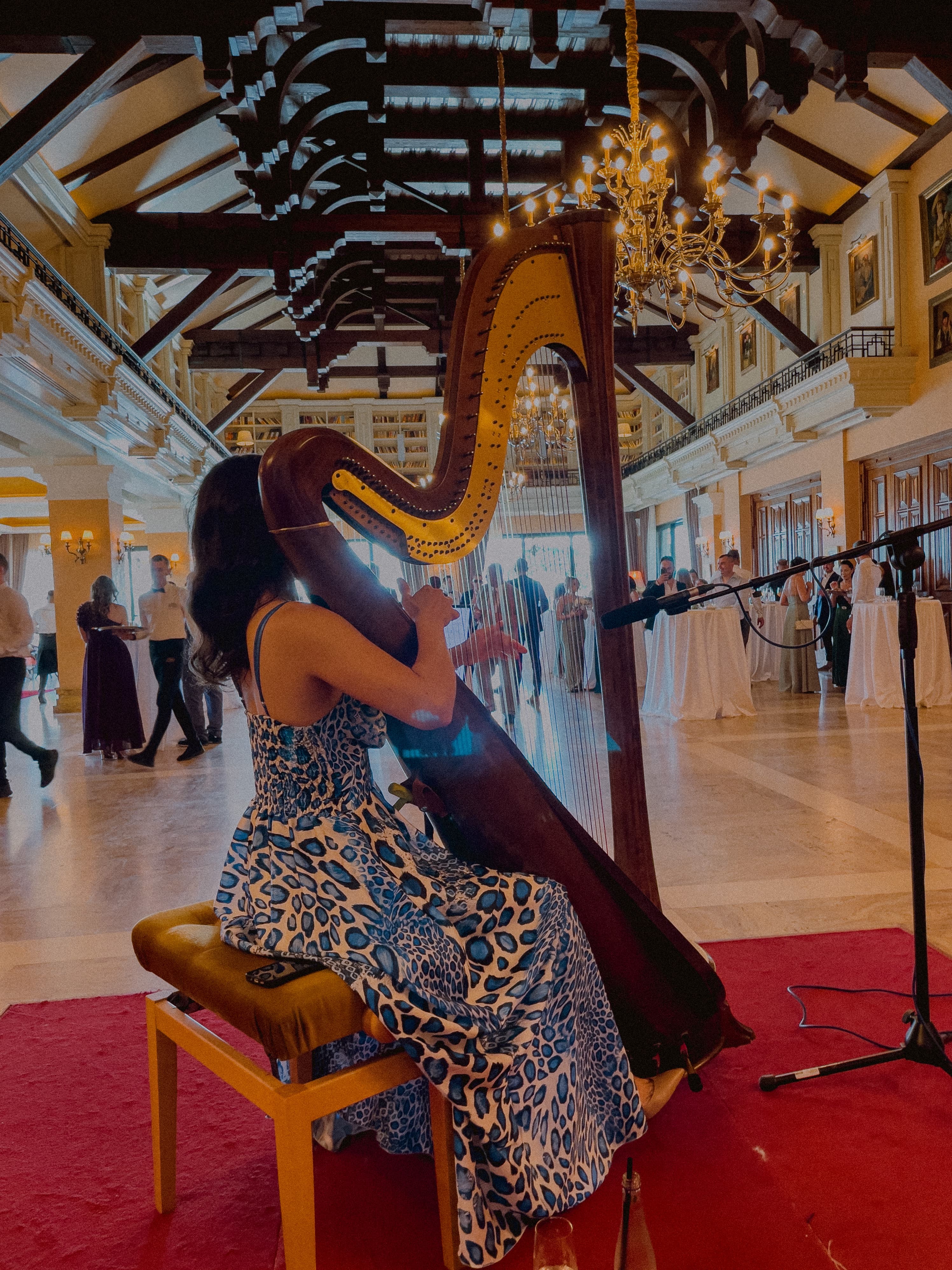 Irina performing at a private event - photo 8