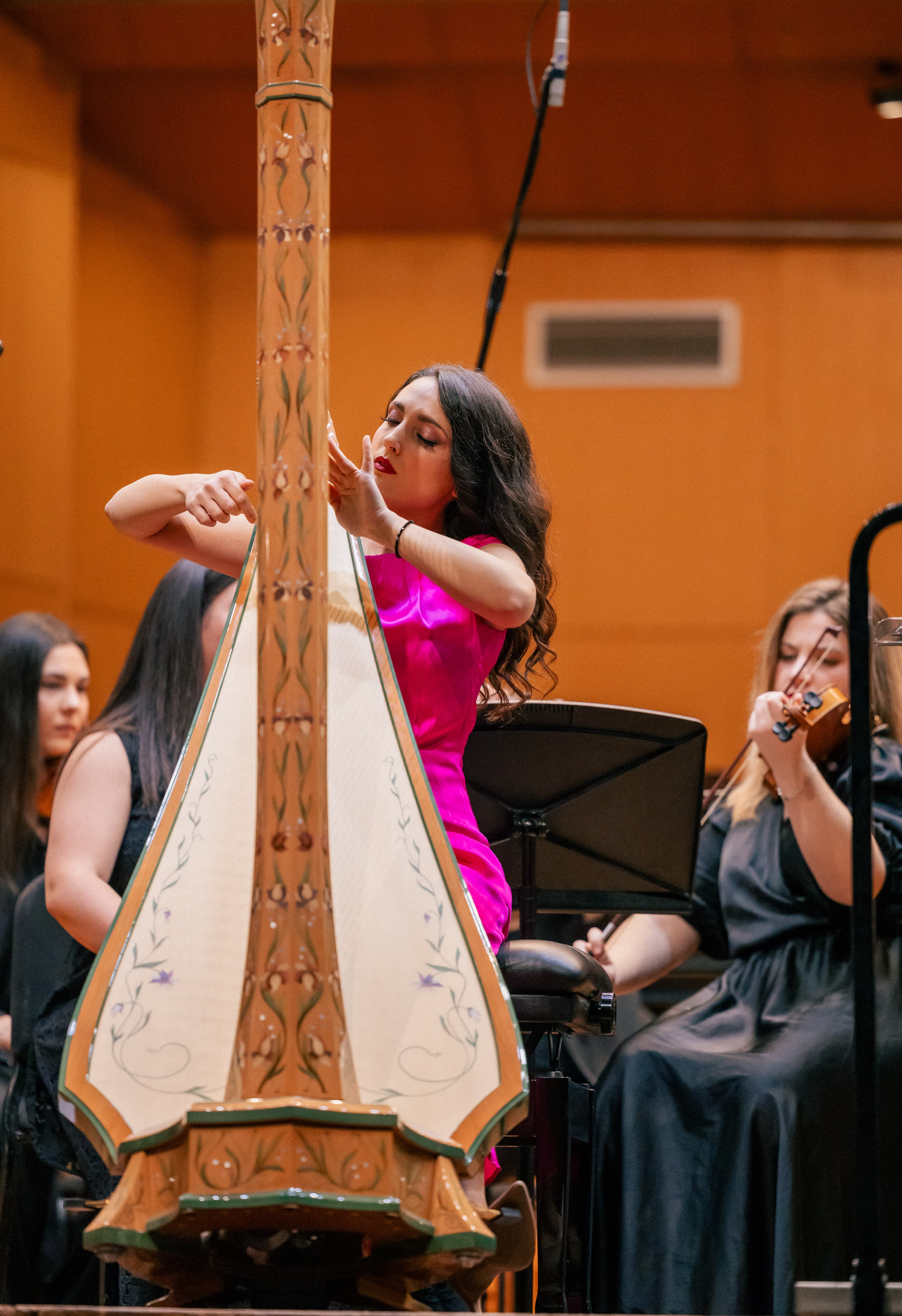 Solo harp performance