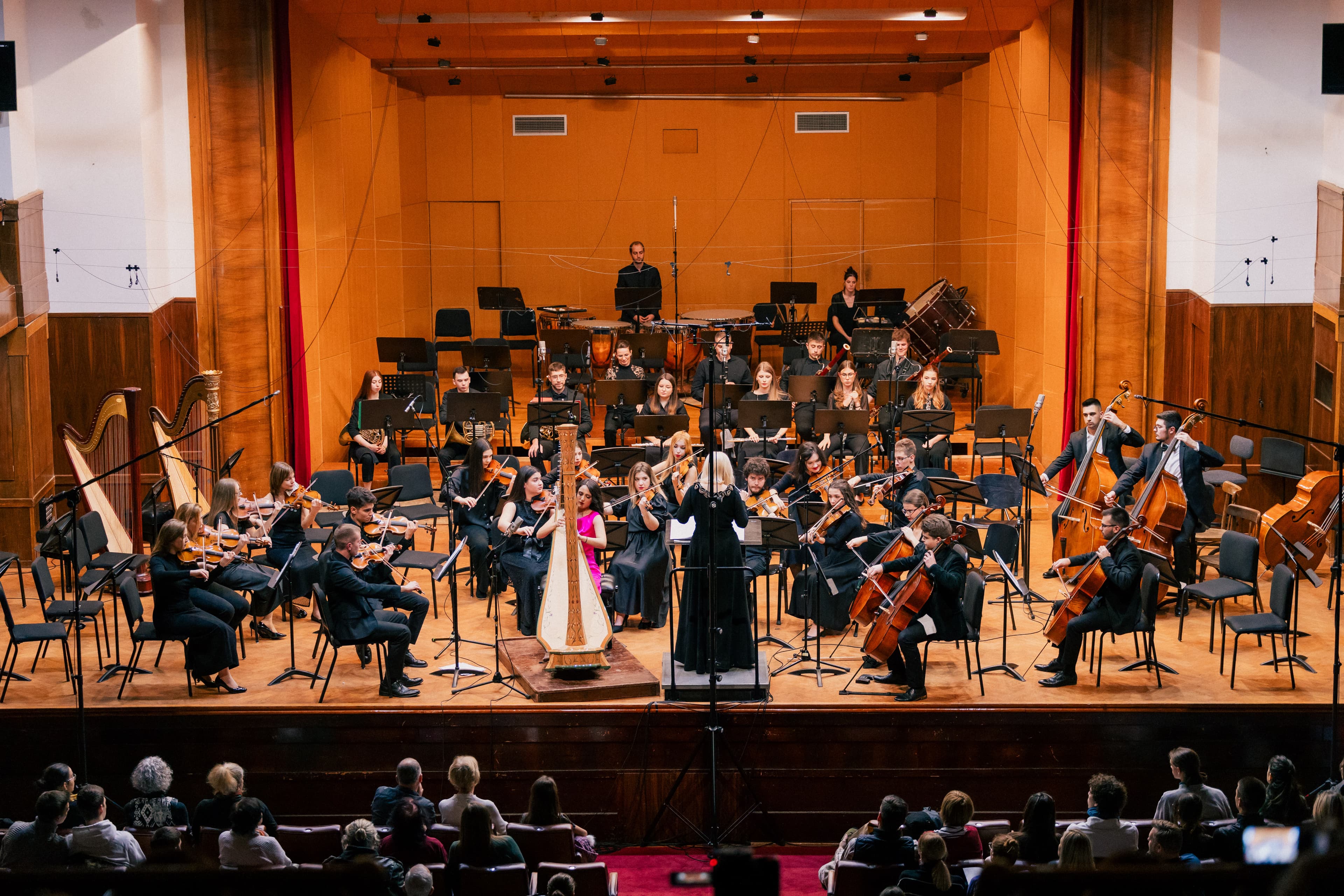 Classical harp performance