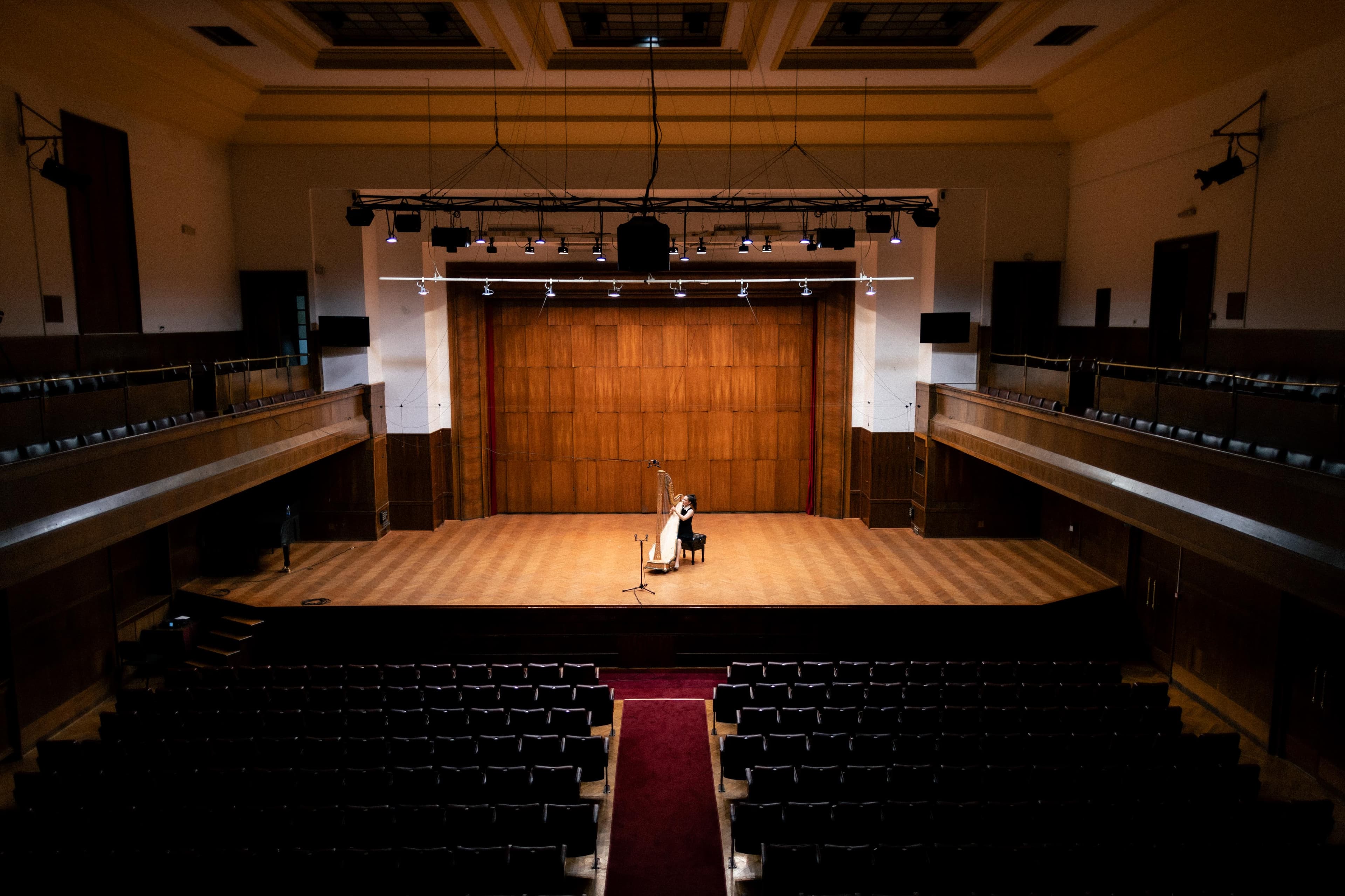 Solo recital performance